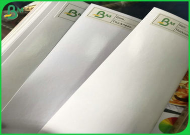 Il PE biodegradabile amichevole eco- di 180gsm 200gsm 230gsm ha ricoperto il rotolo della carta del commestibile per la scatola di pranzo