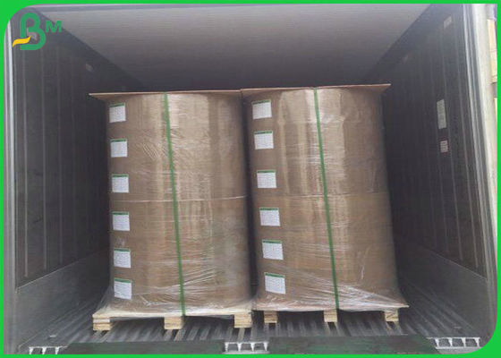 Il FSC ha approvato la carta patinata della polpa vergine di 100%, carta patinata 115gsm per stampare