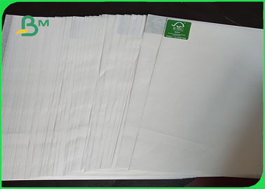 Prova di olio/tipo a prova d'umidità della polpa chimica del rotolo della carta di tracciatore