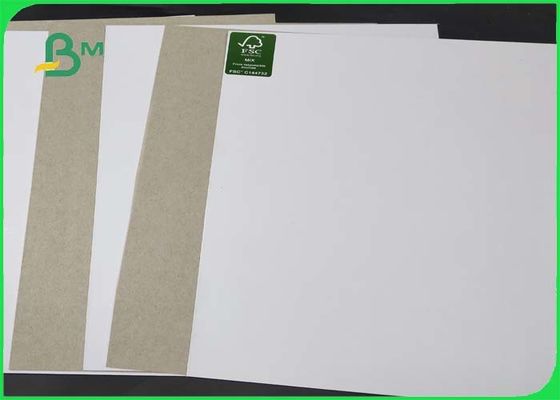 Stampa offset laterale bianca della carta patinata dell'argilla della grande di Stiffiness parte posteriore di Grey in Rolls