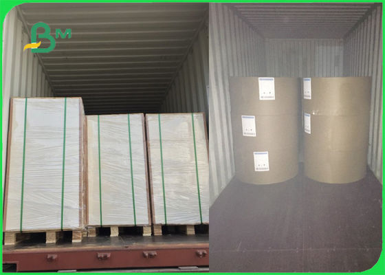 il lato bianco del popolare uno del bordo di avorio di 250gsm 270gsm 300gsm C1S ha ricoperto il FSC certificato