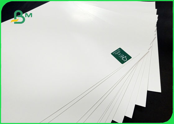 330 bordo della prova di olio del × 364mm 300gr FBB + PE del commestibile 15g per la scatola di pranzo