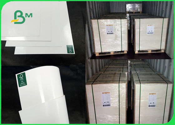 330 bordo della prova di olio del × 364mm 300gr FBB + PE del commestibile 15g per la scatola di pranzo