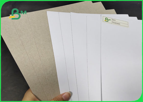 200 / 230gr C1S con la larghezza 1250mm del grado aa della parte posteriore di Grey con lo SGS & il FSC certificati