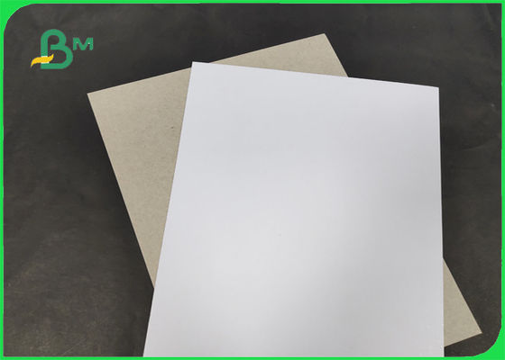 200 / 230gr C1S con la larghezza 1250mm del grado aa della parte posteriore di Grey con lo SGS & il FSC certificati