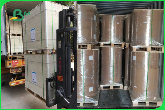 L'avorio del FSC FDA 300gsm un lato ha ricoperto la carta del PE GC1 del bordo bianco per la ciotola di carta