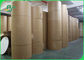 il PLA di 230gsm 260gsm ha ricoperto il cartone per la cassaforte biodegradabile dell'alimento delle ciotole 100%