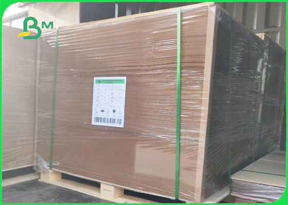 Biodegradabile bordo di Kraft del film del PE 300gsm + 15g per l'imballaggio per alimenti