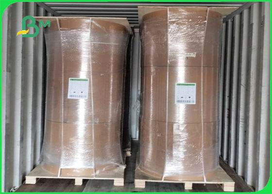 Biodegradabile bordo di Kraft del film del PE 300gsm + 15g per l'imballaggio per alimenti