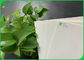 Carta bianca naturale della sostanza assorbente della pasta di cellulosa 0.6mm 0.7mm per le strisce test biologiche