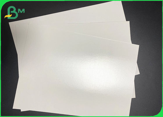 Il PE impermeabile al grasso ha ricoperto il rotolo di carta laminato di Cupstock per le tazze calde della bevanda