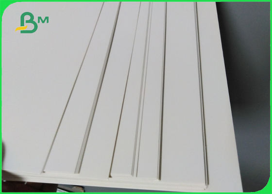 Cartone congelato anti- rivestito 455gsm del contenitore del dessert del singolo lato