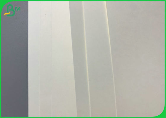 Carta non rivestita stampabile della tazza di effetto 300gsm per la tazza di carta calda della bevanda