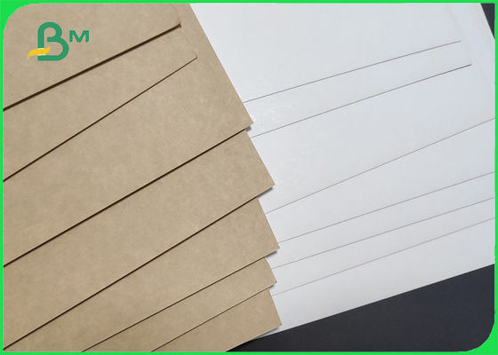 resistenza allo strappo del rotolo di 270gsm Clay Coated Kraft Back (CCK) 900mm