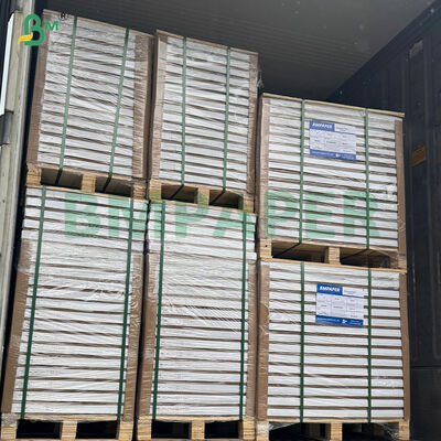 40 gm carta da forno per torte resistente alle alte temperature carta da forno per torte piccole