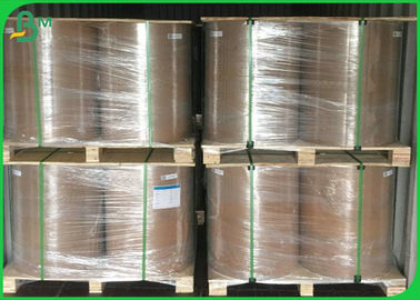 Il commestibile ha certificato 40gsm a 135gsm ha candeggiato le bobine bianche di Kraft con le borse del commestibile