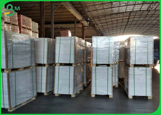 rotolo premio non rivestito di Libro Bianco di 610mm 860mm 100grs 120grs per la fabbricazione della busta