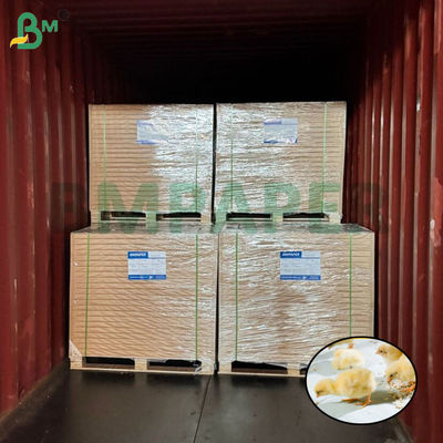 Carta bianca per l'allevamento di polli Carta di pollo per l'allevamento di polli 66cm 100cm