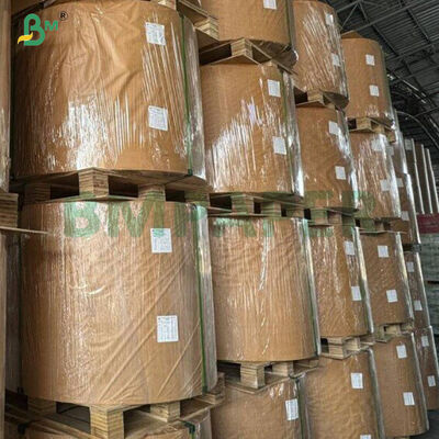 Carta pergamena in silicone antiaderente da 40 g/m² per cottura