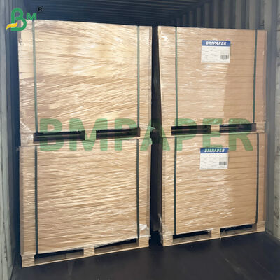 Carta per alimenti adatta al microonde per piatti, tazze, resistente al taglio