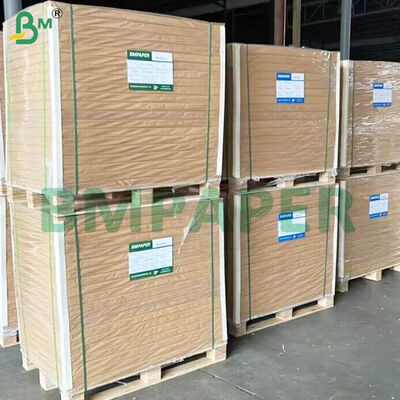 Fogli di carta per tazze da 200 g/m² + 10 g/m² rivestiti in PE, sicuri per alimenti e a prova di perdite