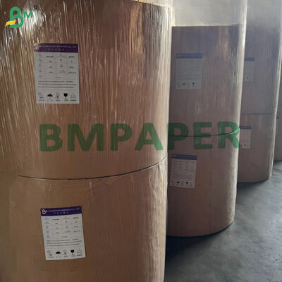 Carta per bicchieri monostrato patinata da 170 g/m² 190 g/m² compostabile 650 mm