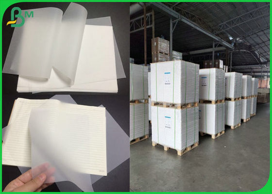 carta da ricalco Transluscent di 1124mm x di 93 73gsm 83gsm 90gsm per la fabbricazione del taccuino
