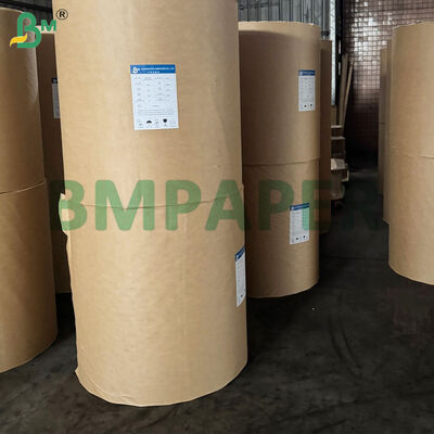 Carta per cupcake antiaderente per la cottura colorata a prova di grasso per pergamena