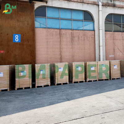 Carta per cupcake antiaderente per la cottura colorata a prova di grasso per pergamena