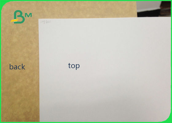 450gsm FSC ha certificato il rotolo della carta ricoperto argilla del commestibile della parte posteriore di Kraft/carta bianca della fodera per imballare