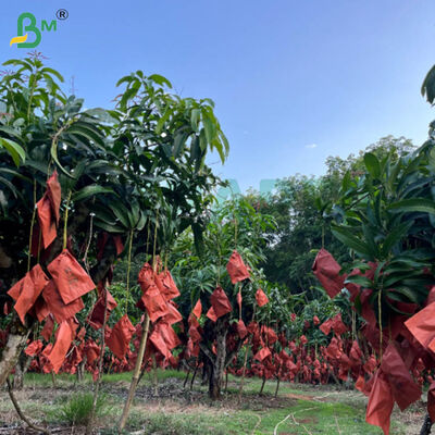 56g Single Side Wax Red And Black Paper For Mango Growing Bag, carta di protezione dei frutti resistente alle intemperie