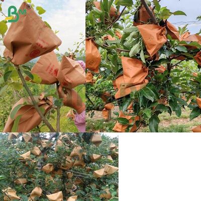 Carta esterna rossa per imballaggio frutta per avvolgere mele, carta per sacchetti per mele non cerata da 56 gsm