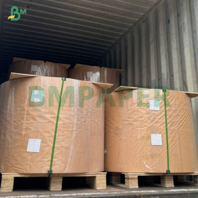 Rotolo di carta da forno per cupcake colorata da 40 g/m² per uso alimentare