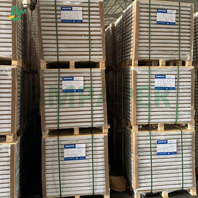 Carta per muffin e cupcake bianca antigrasso, gialla, verde, per la cottura