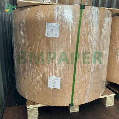 Carta per muffin e cupcake bianca antigrasso, gialla, verde, per la cottura