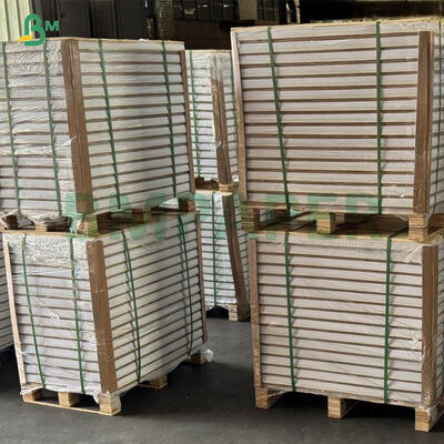 300 310 320 grammi Alta rigidità C2S Gloss Divano