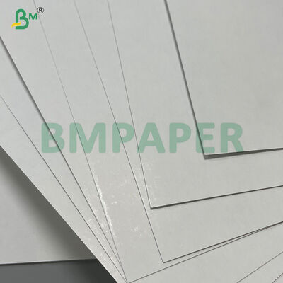 300 310 320 grammi Alta rigidità C2S Gloss Divano