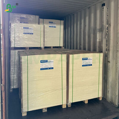 300 310 320 grammi Alta rigidità C2S Gloss Divano