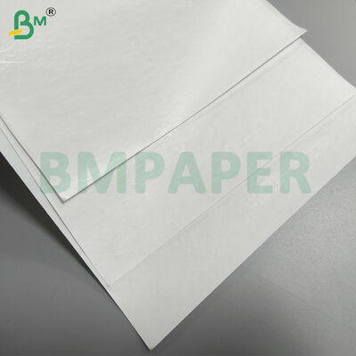 ECR / RECEIPT Carta di base carta termica Rulli di base con rivestimento