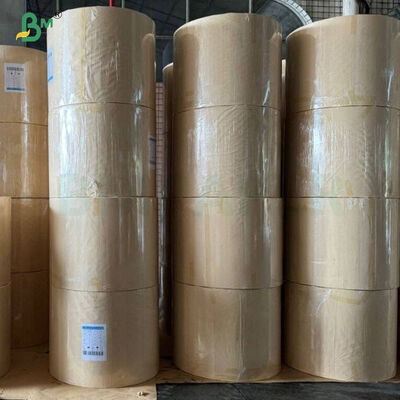 Rotoli di carta bianca antigrasso da 35 g/m² per avvolgere hamburger e panini, per confezionare biscotti