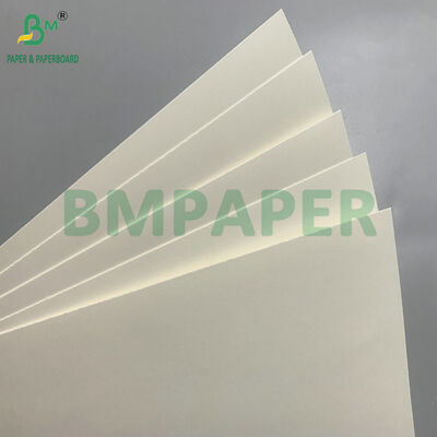 Cartone biodegradabile e sicuro per microonde per la fabbricazione di ciotole usa e getta per l'insalata