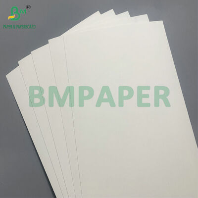 Cartone biodegradabile e sicuro per microonde per la fabbricazione di ciotole usa e getta per l'insalata