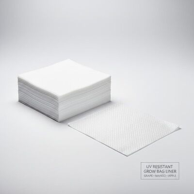 Carta di imballaggio per la coltivazione di mele e di uva resistente ai raggi UV