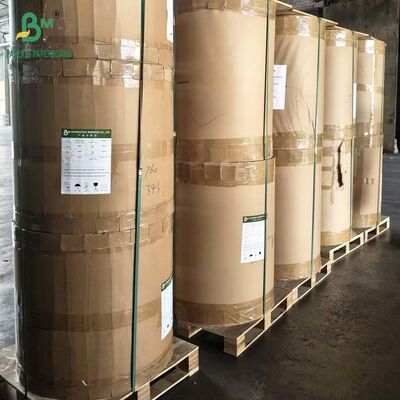 Bobina di carta oleata sbiancata da 40gr 45gr 50gr Kit 5 Kit 7 60cm 70cm