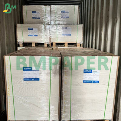 Carta per alimenti adatta al microonde per piatti, tazze, resistente al taglio