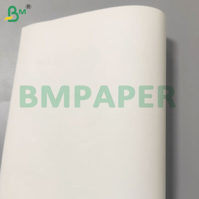 30gsm Kit 5 Fogli di Carta Oleata Assorbente per Alimenti Sicura
