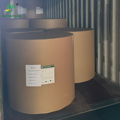 250 gm 300 gm 350 gm 400 gm CCNB Cartone per imballaggi alimentari congelati
