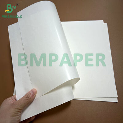 Carta Kraft Glazed Bianca Rivestita 1 lato 60gsm 70gsm per Confezionamento Zucchero 60cm 72cm