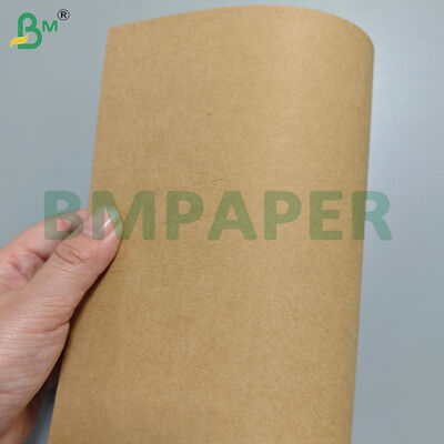 350 gm+10 gm di fogli di carta per piatti e piatti con rivestimento in PE