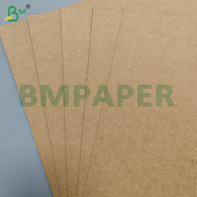 350 gm+10 gm di fogli di carta per piatti e piatti con rivestimento in PE